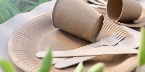 تصویر 1 از خرید و قیمت ظروف یکبار مصرف گیاهی آملون + فروش عمده